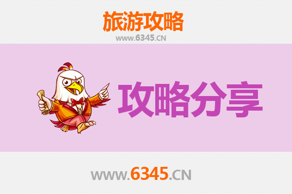 天津滨海至湄洲岛旅游攻略：跟团还是自由行？资深博主深度解析