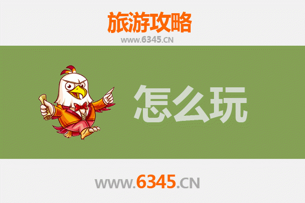 节假日天津滨海旅游全攻略：玩转海滨风情与都市魅力